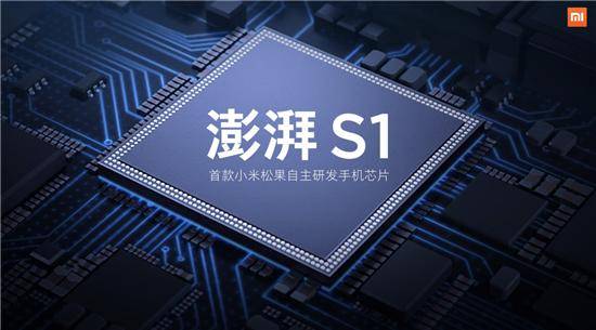 《兔宝宝守护珍贵树种》主题公益活动，践行绿色可连续推动