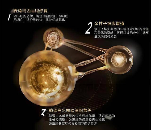 直击首届广州卫博会品牌大咖说②