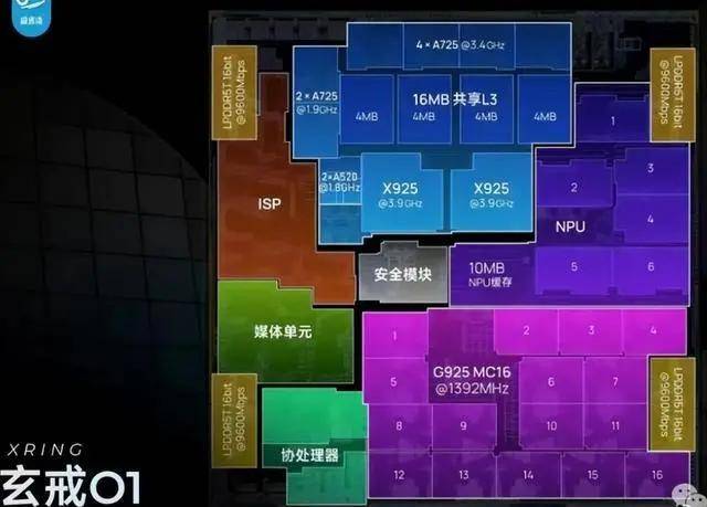 燃动相遇，万众瞩目